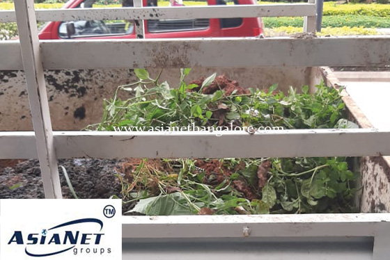 Basement Drainage Chamber Cleaning