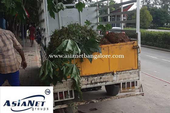 Drainage line Cleaning